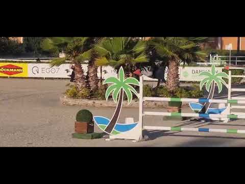 Daddy Cool Ter Linden Z