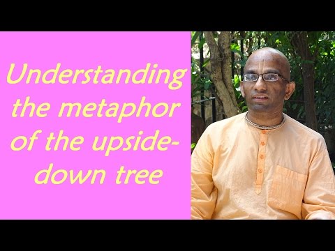 Bhakti Shastri (127) - Bhagavad Gita Chapter 15 Text 01 to 06