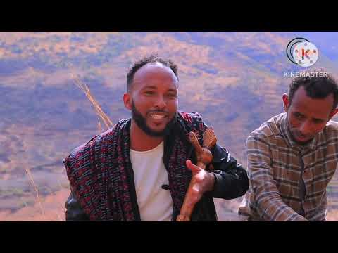 ጉማየ ፅሩፍ ኣለፈ _ Truy Alefe