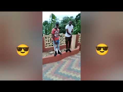 Jahvis crushroad talking parrot video shoot