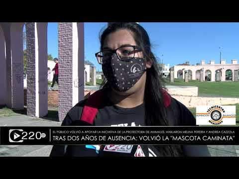 Tras dos años volvió la tradicional mascota caminata a la rambla de Mercedes