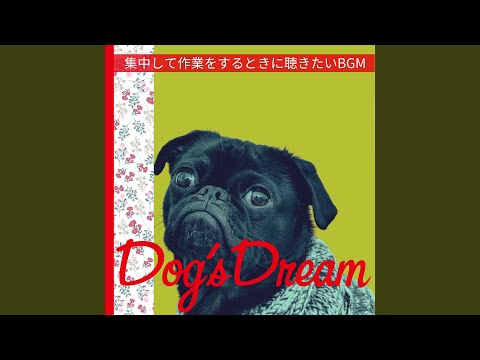 「The Power of the Dog」: これがグローブの人気作品が受賞に値する理由です