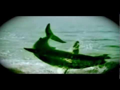 Vitiate - Great Whites ft. Dan Bull, Diabolic, KidCrusher, Anonamix, Copywrite, Klive Kraven