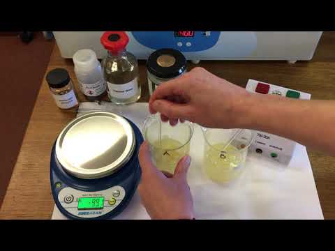 Pectinase enzyme; making apple juice.