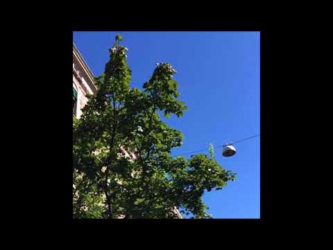 89. Vegard - Patetisk [pathetic]