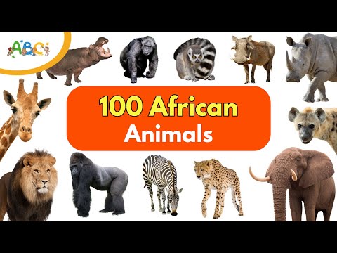 100 African Animals for Kids | Learn Animal Names | Types of Animals for Kids | Wild Animals Name