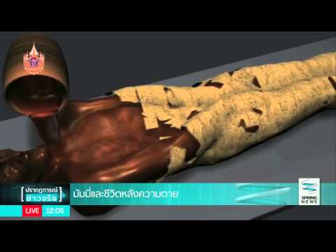 น้ำหนักและความแข็งแรงในผู้ชาย แท็บเล็ตแรงขายในร้านขายยา