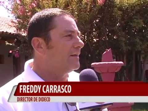 INVITACION  A  FIESTA DE LA VENDIMIA  BUIN  2013