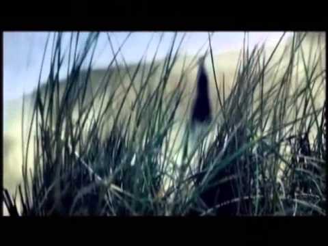 Ali Campbell  DjPolyRasta -  Out From Under