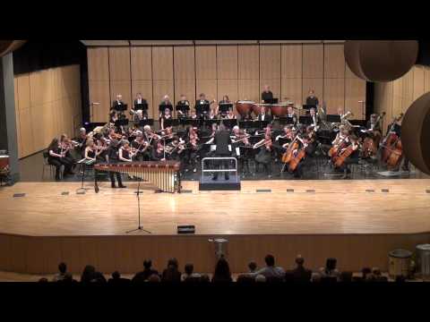 Ney Rosauro - Marimba Concerto no. 2, mov. 2, performed by Antek Olesik