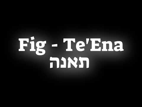 How to pronounce the fruit Fig - Te'Ena תאנה in Hebrew