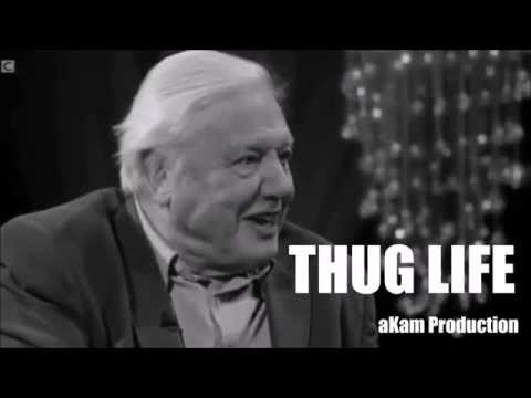 THUG LIFE - Sir David Attenborough on Jessica Chastain (The Graham Norton Show)