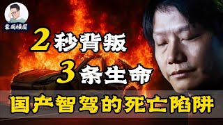 [討論] 電動車到底是不是歐美給中國挖的坑