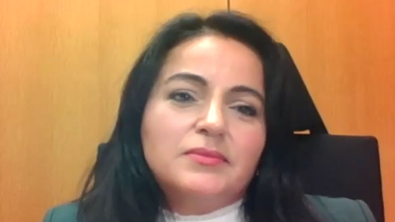 Sevim Dağdelen: NATO - the US club - is leading the world to a World War