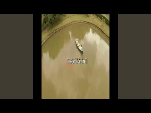 puedo vivir sin ti