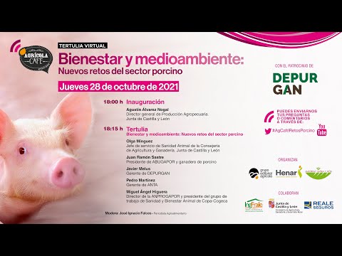 Fotograma del vídeo: Bienestar y medioambiente
