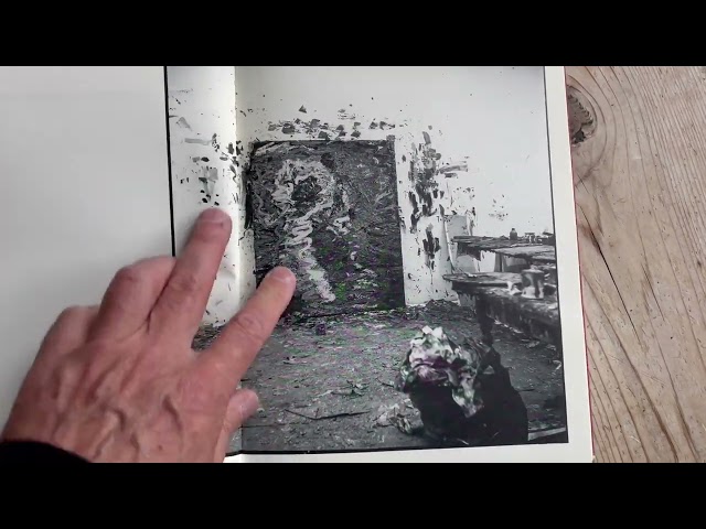 &#169;Hans Theys & Michel Frere