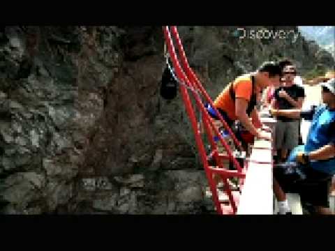 Science of Sex Appeal - Testosterone vs. Dopamine