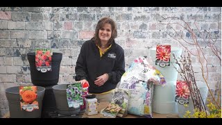 How to Plant Summer-flowering Bulbs in Containers ENGLISH GARDENS