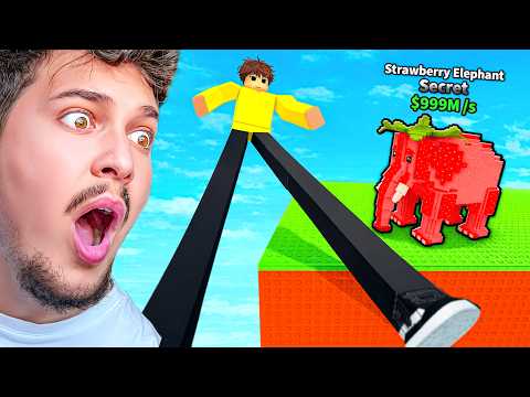 Bonu i GJATE dhe Vjedhe BRAINROTIN