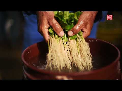 Procedimiento de Cosechas de Chapolas de Café