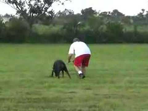 Don & Primo -- Tracking -- 060827