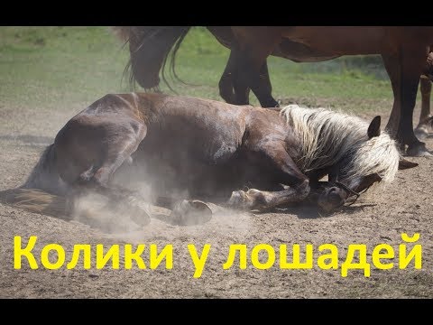Что может отдавать остеохондроз грудной клетки Какие уколы колоть при воспалении суставов