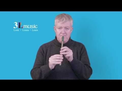 Tin whistle Lesson 2 The scale