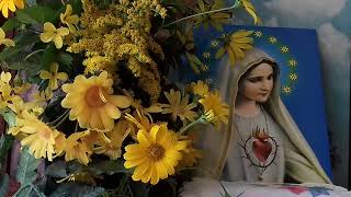 Tajemnica Maryi św. Ludwik M.G de Monfort czyta Iwonna Teresa