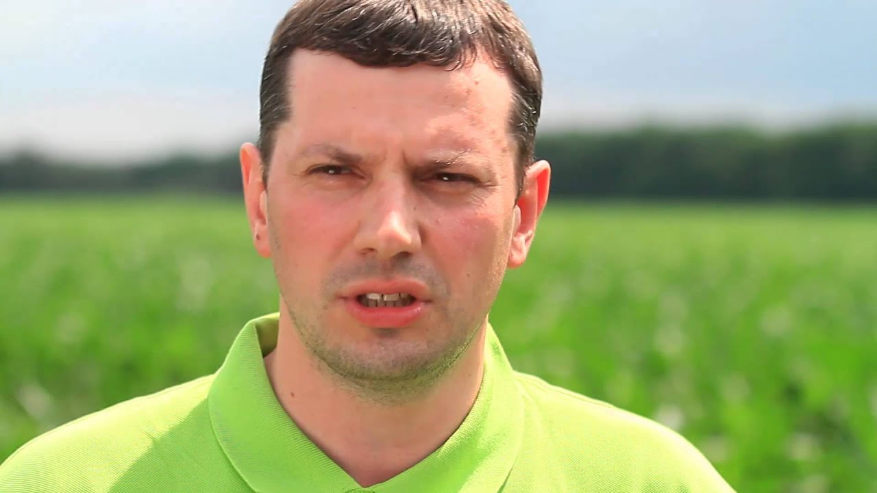 Гербицид Майстер Пауер