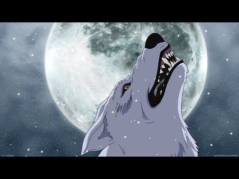 Useless Anime Knowledge: Wolf's Rain