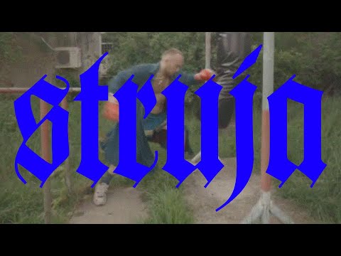 Vizelj - Struja