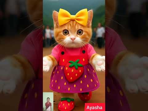 Dudi Dudi Dham Dham❤️Cute Cat Walking Like Cartoon Human#dubidubidu #cuteanimal #cutecat #cute #cats