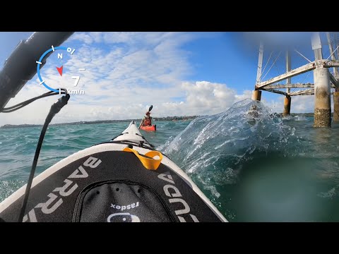 Sea kayak trip to the cafe at Kohimarama - Barracuda Beachcomber