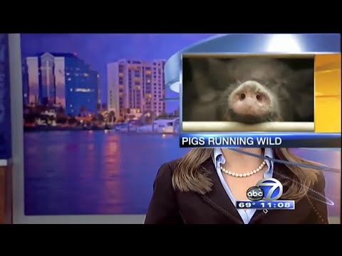 5 żenujących wpadek w telewizji - spróbuj się nie zaśmiać (tv fails, bloopers)