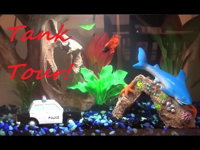 Tour of my Male VT Betta Horatio's 5 Gallon Tank