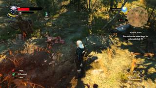 The Witcher 3: Wild Hunt - Funeral Pyres: Burn Bodies Lying In Pits on the Battlefield (2/3) Ghouls