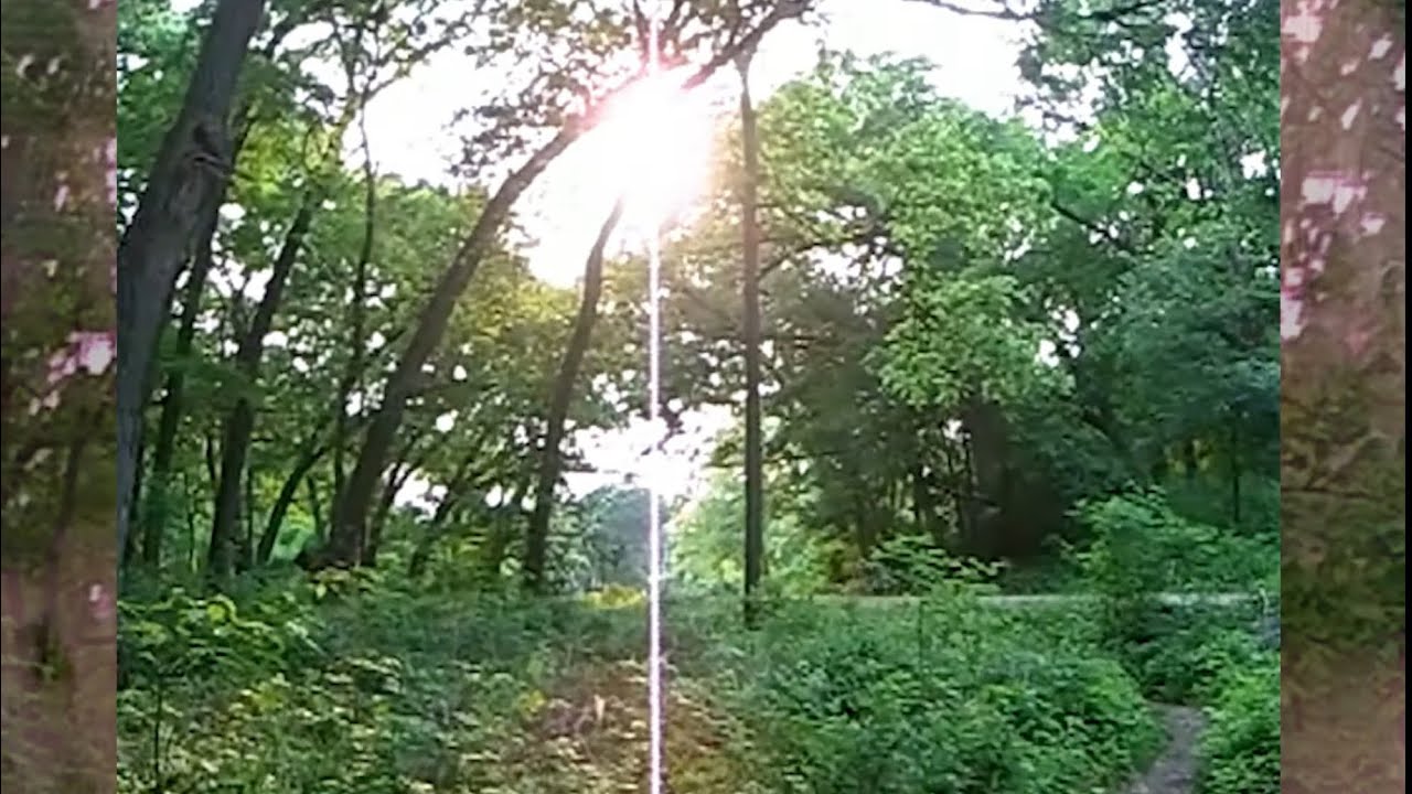 is it like being hypnotized (2025) [full film] {watch in 4k}