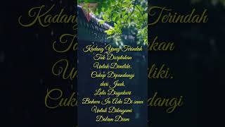 Download lagu Kata - Kata Bijak , Mengagumi Dalam Diam mp3 Download lagu Kata - Kata Bijak , Mengagumi Dalam Diam mp3