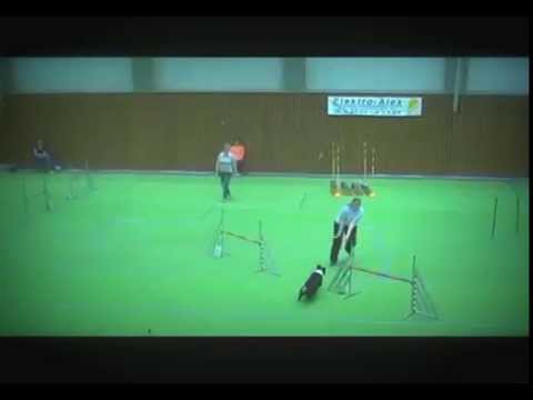 Nina & Ashley beim Hallenturnier am 25.03.2012 bei der SV OG Bad Soden im Jumpping 3