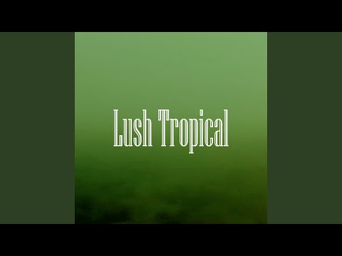 Chillout Beach House Vibes