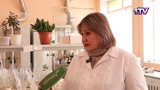 Видео