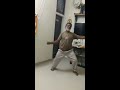 Kitna Pyara Wada Hai In Matwali Aankhon Ka Like Please Viral Whatssapp