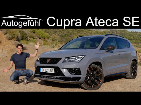 Cupra Ateca Limited Edition FULL REVIEW - how does it rate to VW T-Roc R and Porsche Macan 4-cyl?