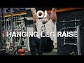 Hanging Leg Raise, how to build your Lower Abs