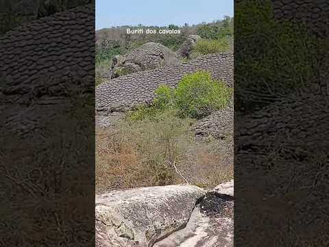 Buriti dos cavalos 🐎  Piauí