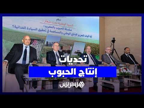 إنتاج الحبوب.. بشائر وتحديات 