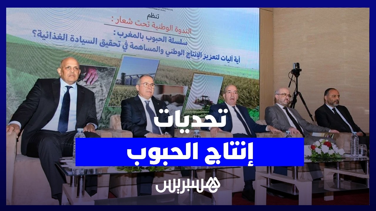 تحديات قطاع الحبوب.. بين بشائر المحصول الجيد وأزمة تكاليف الإنتاج thumbnail