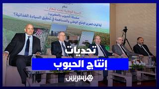 تحديات قطاع الحبوب.. بين بشائر المحصول الجيد وأزمة تكاليف الإنتاج thumbnail