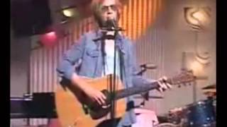 Beck - Hollow Log live